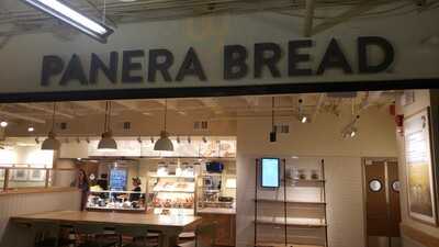 Panera Bread, Washington DC