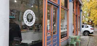 Coffee Tree & Poke, Seattle