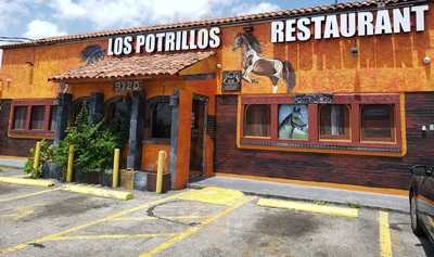 Los Potrillos, Austin