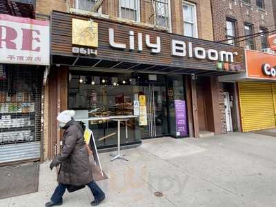 Lily Bloom Bakery, Brooklyn