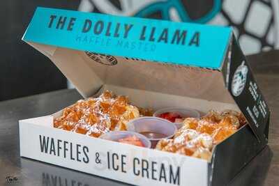 The Dolly Llama, Los Angeles