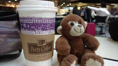 Peet's Coffee & Tea at SFO Airport - 6 Locations, San Francisco