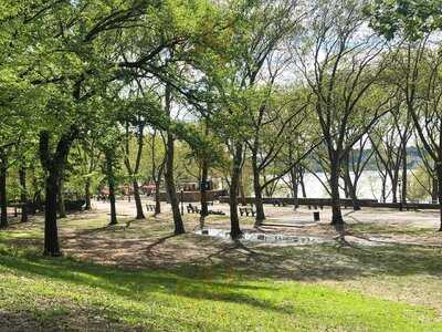 Ellington In The Park