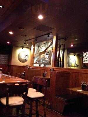 Outback Steakhouse