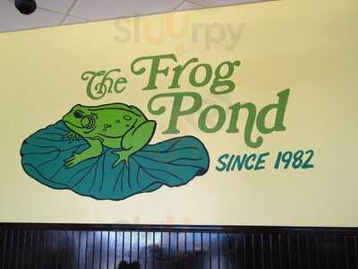 The Frog Pond Downtown St. Petersburg