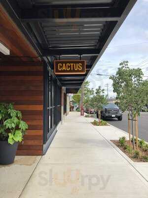 Cactus, Tacoma