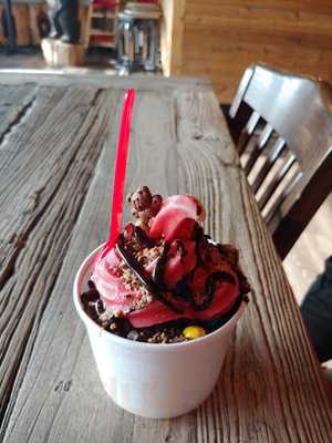 Black Bear Frozen Yogurt