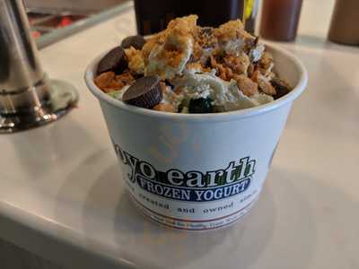 Froyo Earth