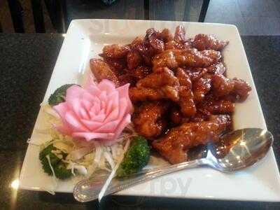 Xin Xin Asian Fusion Cuisine, McAllen