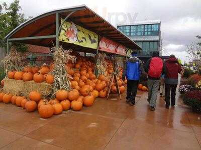 Whole Foods Market, Boulder