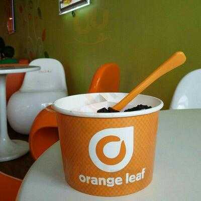 Orange Leaf Yogurt