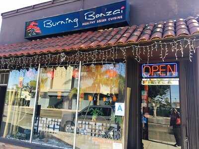 Burning Bonsai, Burbank