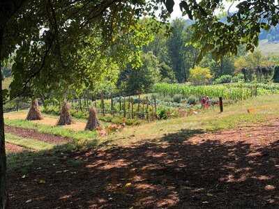 Farm Table Cafe at Monticello, Charlottesville