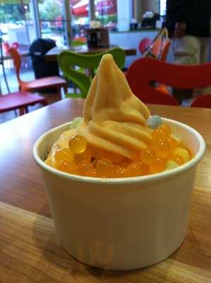 Peaks Frozen Yogurt Bar