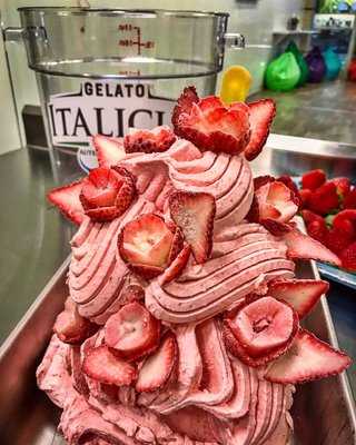 Italicus Gelato