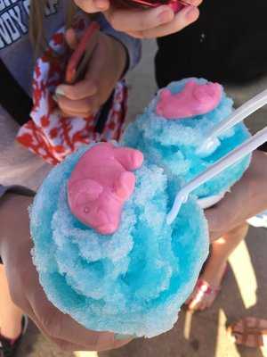 Pelican's Snoballs And Homemade Ice Cream