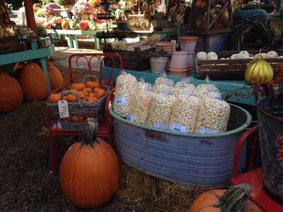 Blue Ridge Kettle Korn, Charlottesville