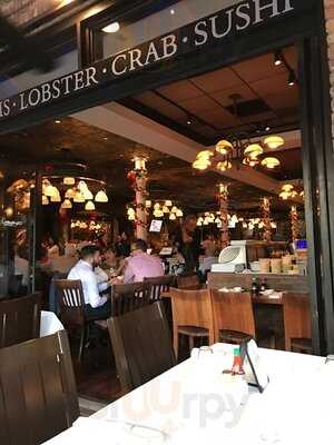 City Oyster & Sushi Bar