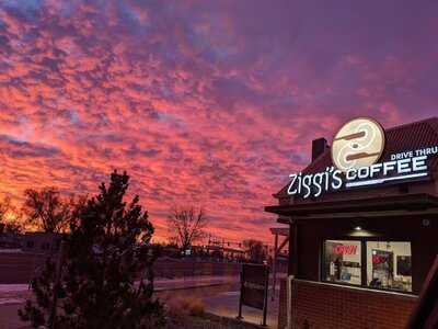 Ziggi's Coffee - Fort Collins, Fort Collins