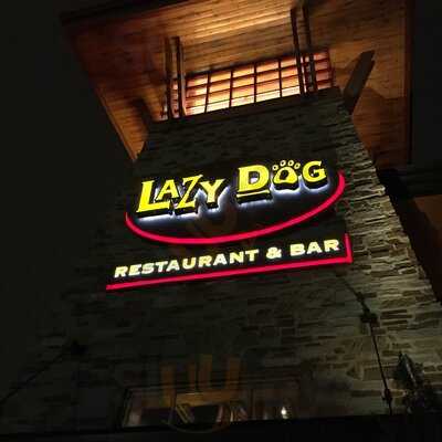 Lazy Dog Restaurant & Bar