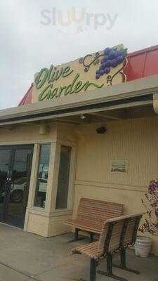 Olive Garden Italian Restaurant