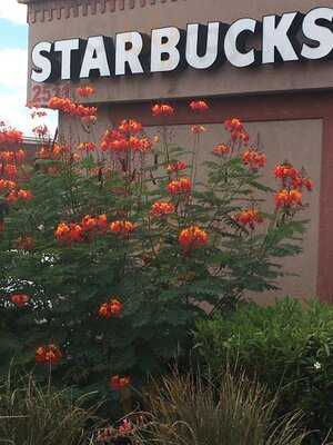 Starbucks, Las Cruces