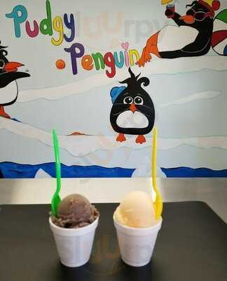 Pudgy Penguin Italian Ice, Vero Beach