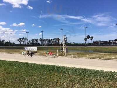 Daytona Dogs, Daytona Beach