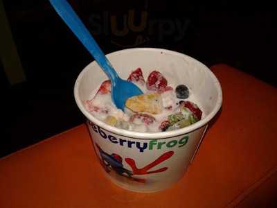 Yogurt Mountain, Spartanburg