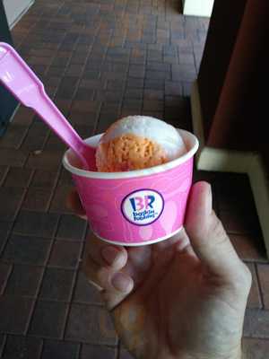 Baskin-Robbins, Redwood City