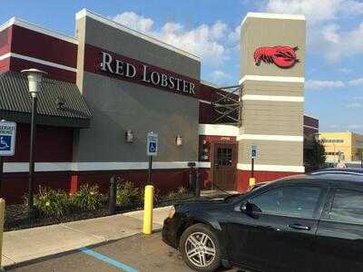 Red Lobster