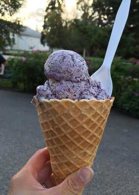 Hot Licks Homemade Ice Cream, Fairbanks