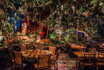 Rainforest Cafe