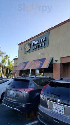 Panera Bread