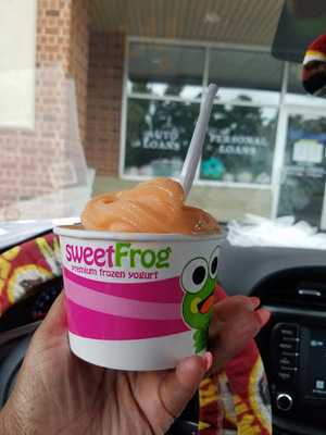 Sweet Frog frozen yogurt, Florence