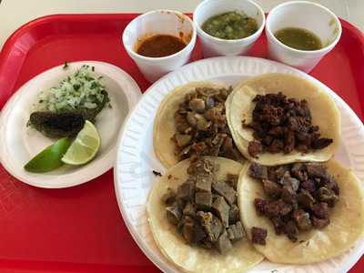 Taco El Gavilan