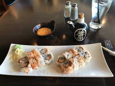 Shogun Japanese Grill & Sushi Bar, The Woodlands