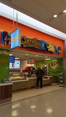 Camille's Ice Cream Bars