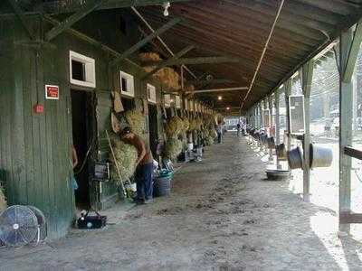 The Porch @ Saratoga Racetrack