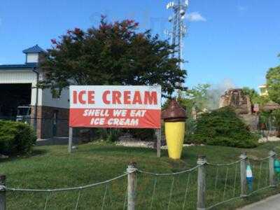 Shell We Eat Ice Cream