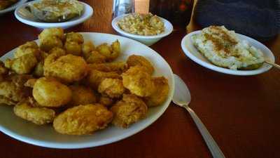 The Fried Alligator, Kingsport