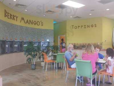 Berry Mango's Yogurt Bar, McDonough