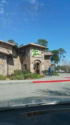 Olive Garden Italian Restaurant