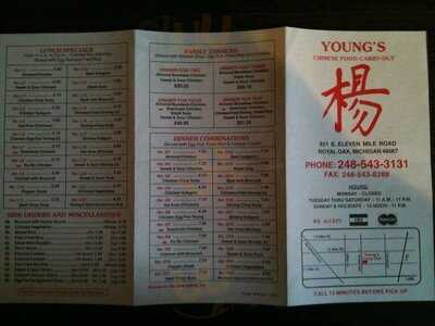 Young's Chinese Food Carry-out