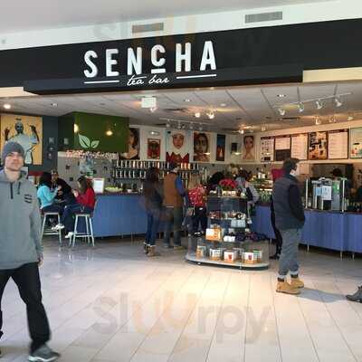 Sencha Tea Bar