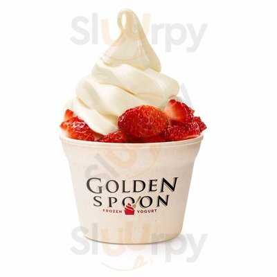 Golden Spoon Frozen Yogurt