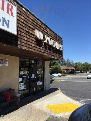 Honey Treat Yogurt Shoppe, Lodi