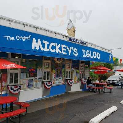 Mickey's Igloo