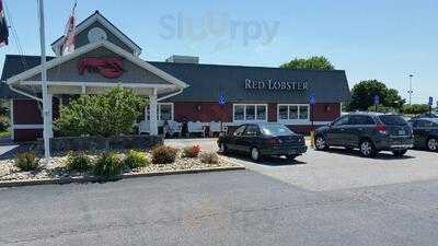 Red Lobster