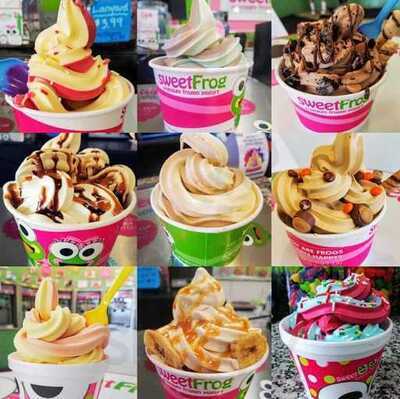 Sweet Frog Yogurt, Rockwall